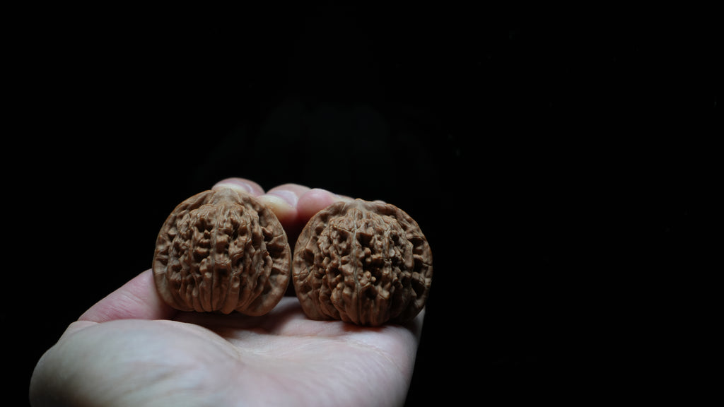 White Lion Wenwan Walnut Pair VI