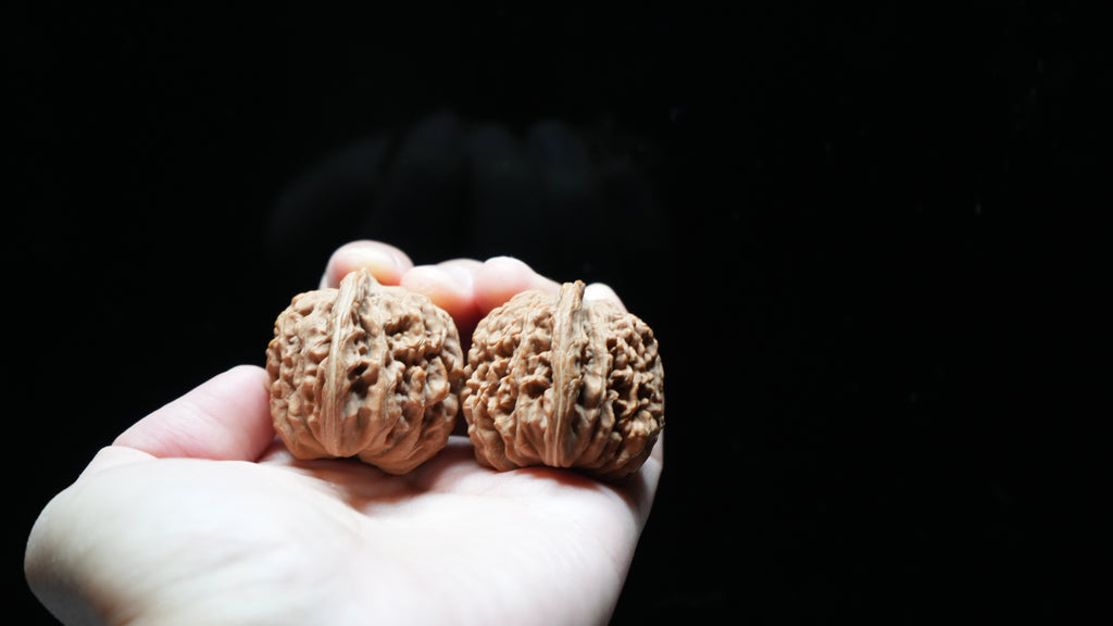 White Lion Wenwan Walnut Pair VI