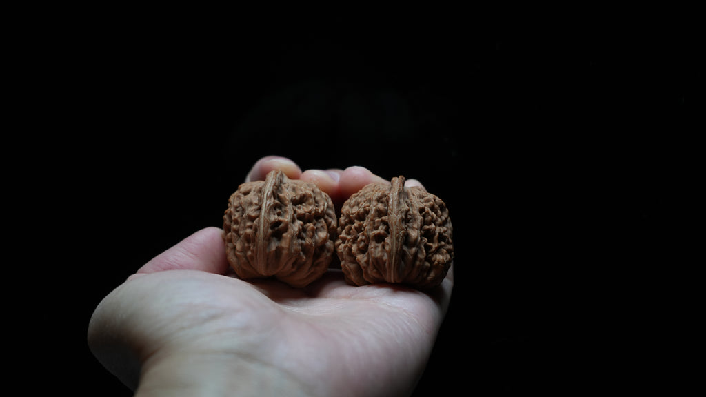 White Lion Wenwan Walnut Pair VI