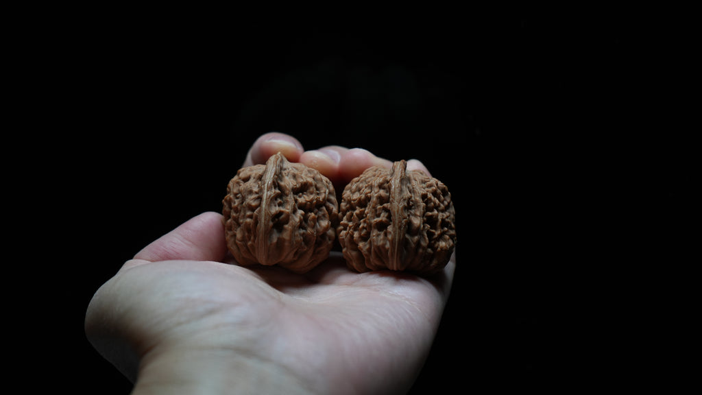 White Lion Wenwan Walnut Pair VI