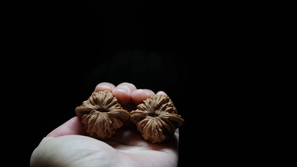 White Lion Wenwan Walnut Pair VI