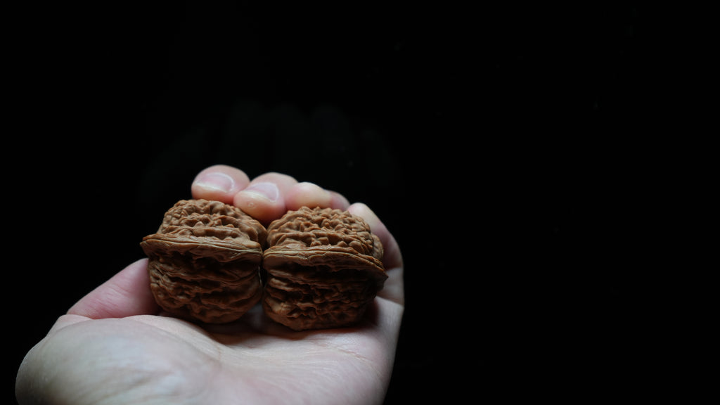 White Lion Wenwan Walnut Pair VI