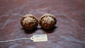 White Lion Wenwan Walnut Pair VII
