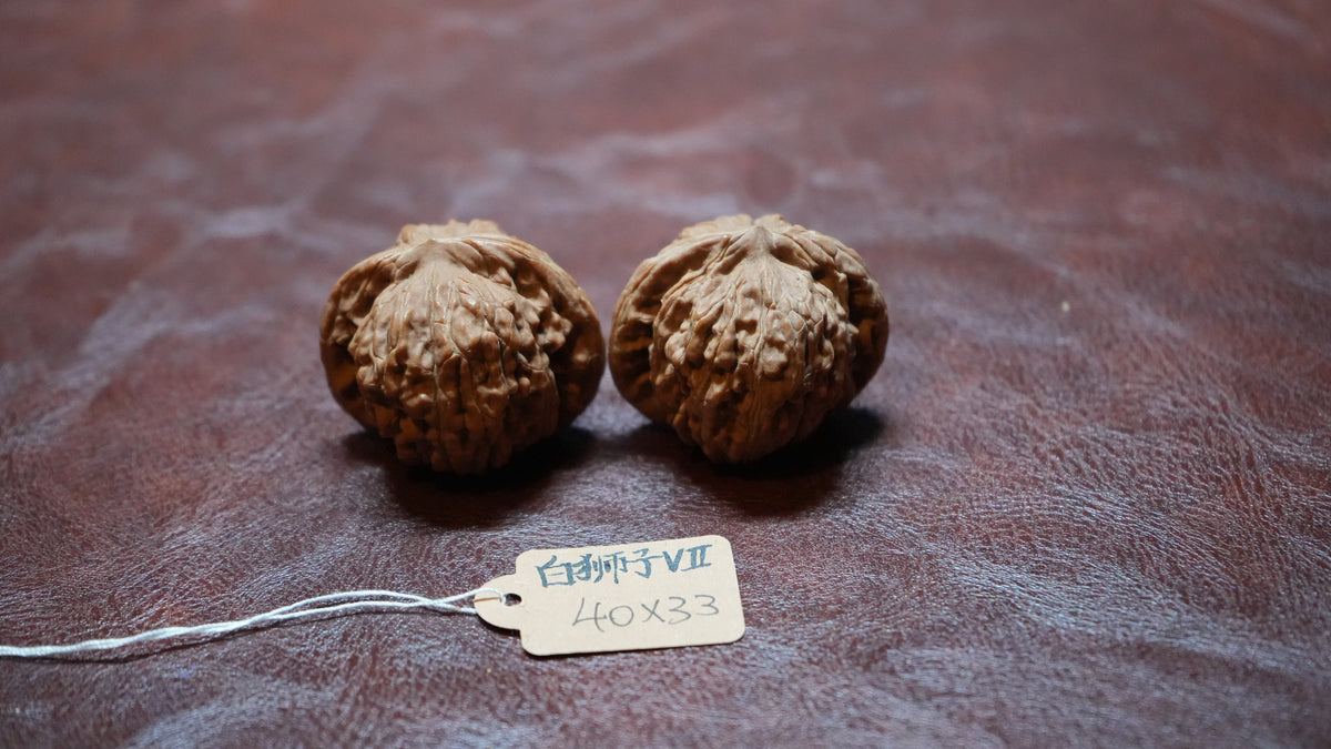 White Lion Wenwan Walnut Pair VII