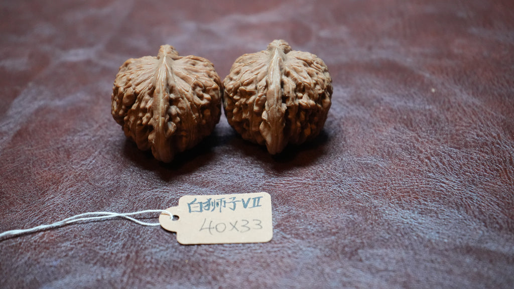 White Lion Wenwan Walnut Pair VII