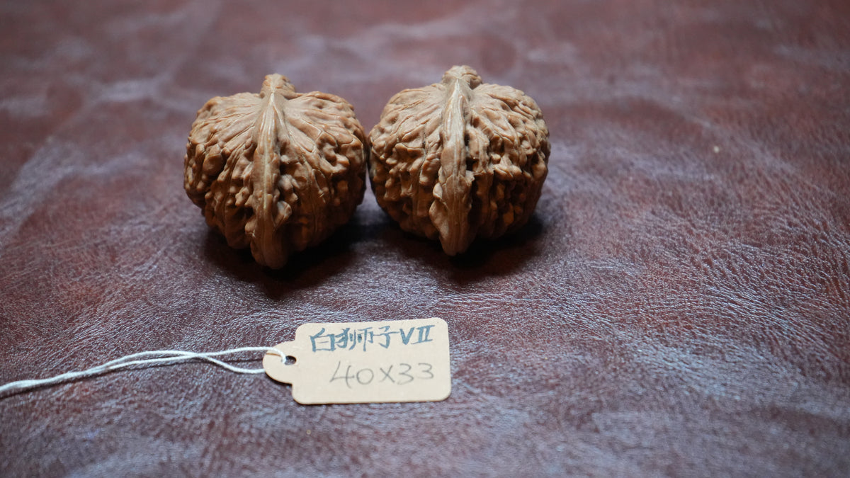 White Lion Wenwan Walnut Pair VII