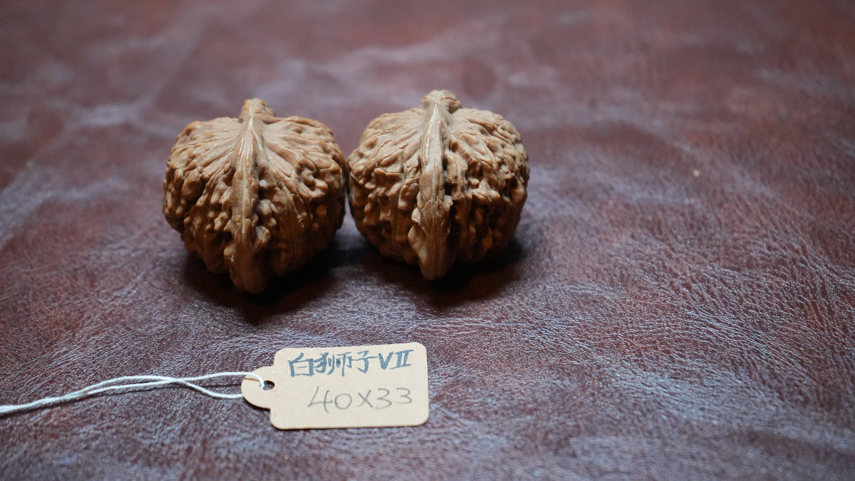 White Lion Wenwan Walnut Pair VII