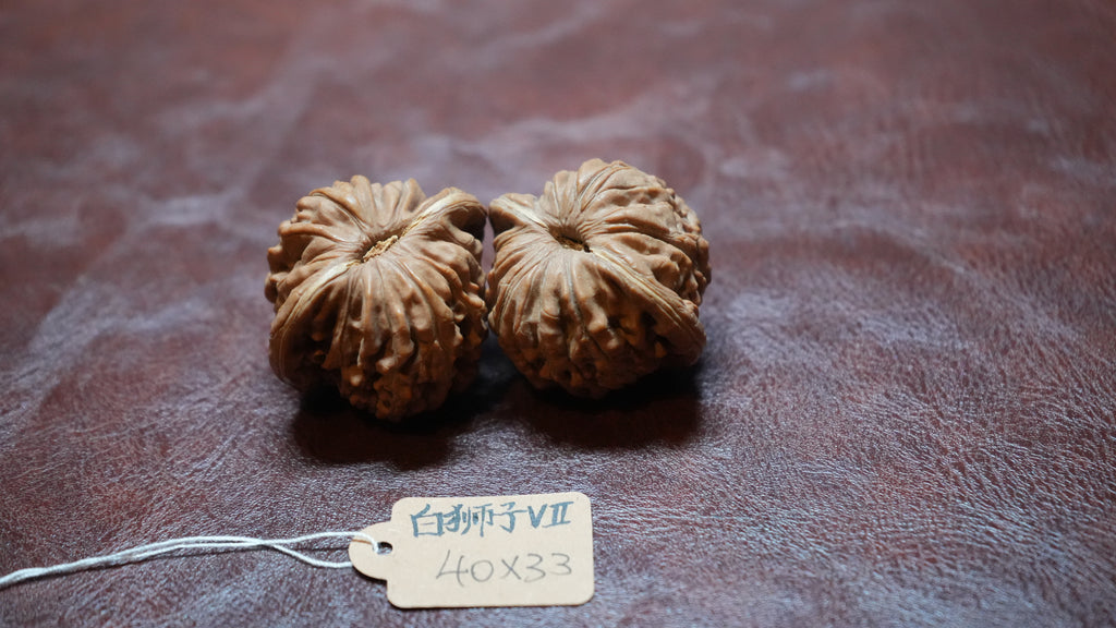 White Lion Wenwan Walnut Pair VII