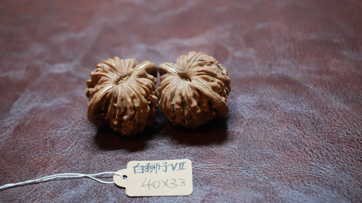 White Lion Wenwan Walnut Pair VII