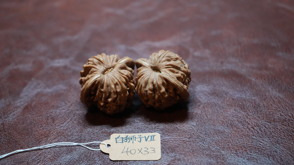 White Lion Wenwan Walnut Pair VII