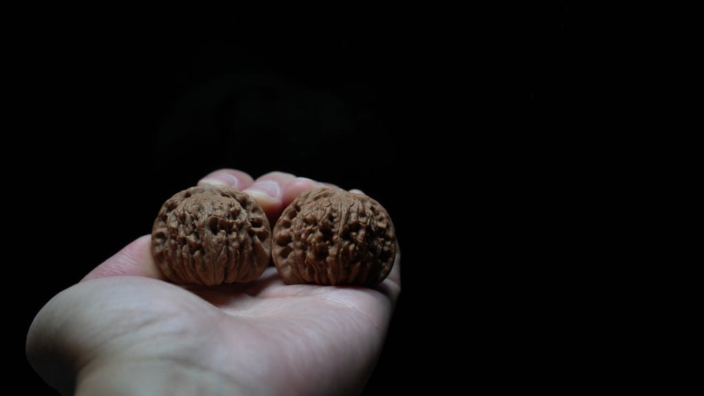 White Lion Wenwan Walnut Pair VII