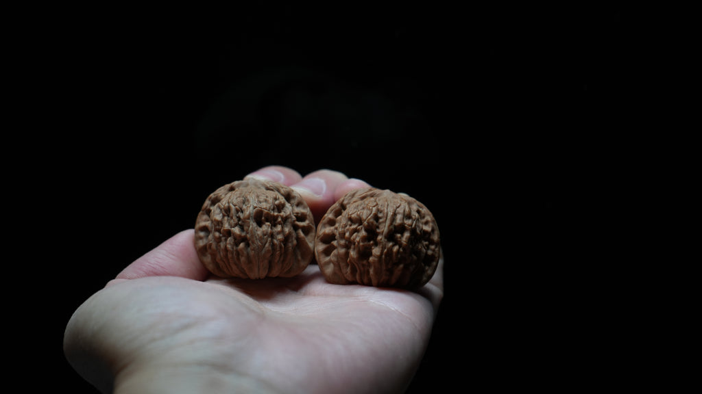 White Lion Wenwan Walnut Pair VII