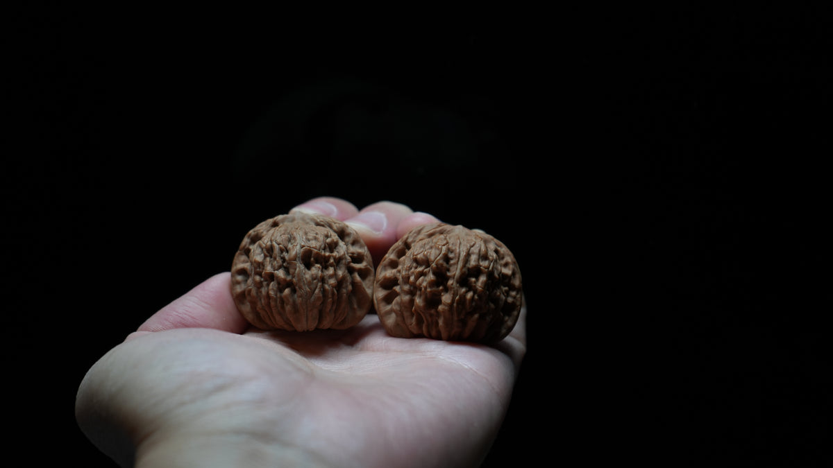 White Lion Wenwan Walnut Pair VII