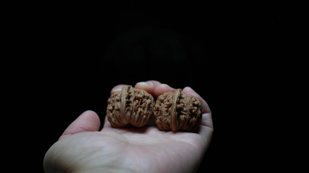 White Lion Wenwan Walnut Pair VII
