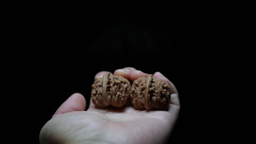 White Lion Wenwan Walnut Pair VII