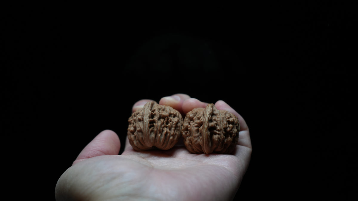 White Lion Wenwan Walnut Pair VII