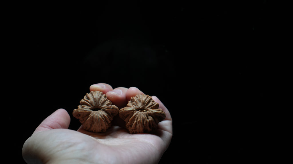 White Lion Wenwan Walnut Pair VII