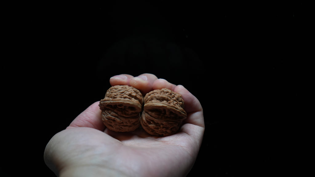 White Lion Wenwan Walnut Pair VII