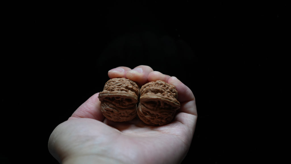 White Lion Wenwan Walnut Pair VII