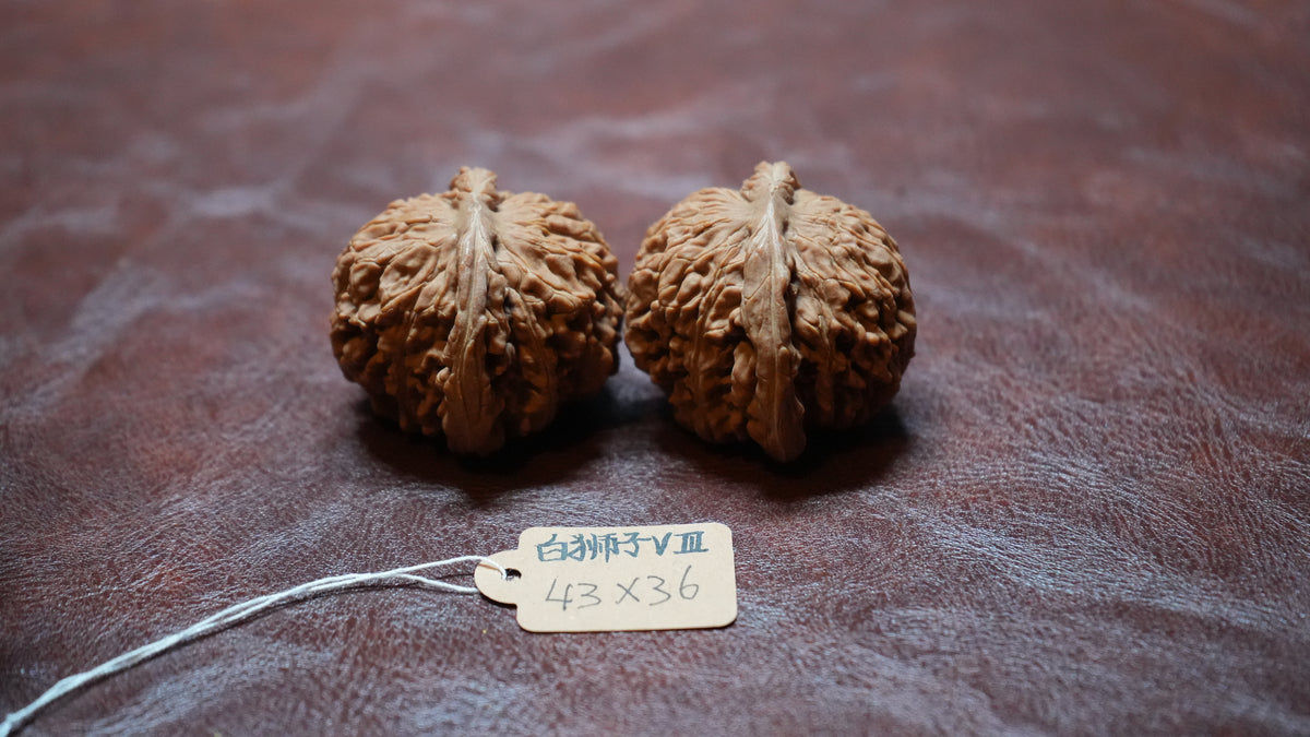 White Lion Wenwan Walnut Pair VIII