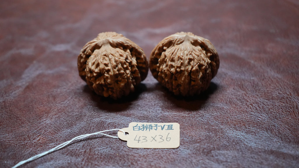 White Lion Wenwan Walnut Pair VIII
