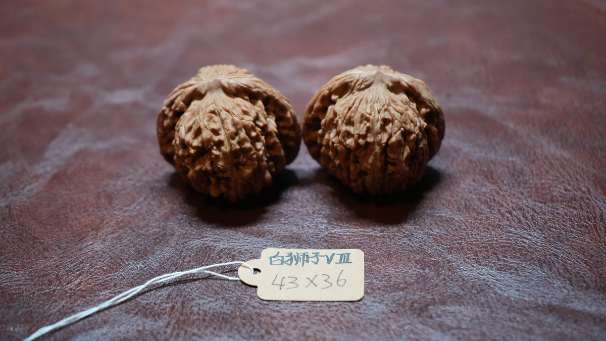 White Lion Wenwan Walnut Pair VIII