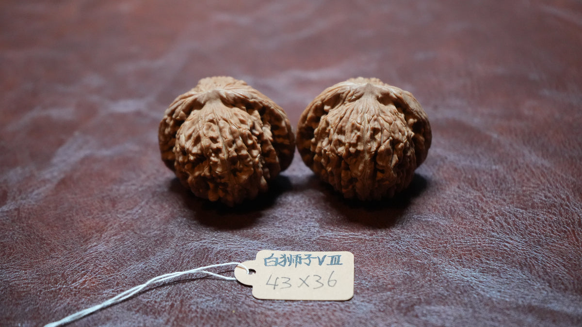 White Lion Wenwan Walnut Pair VIII