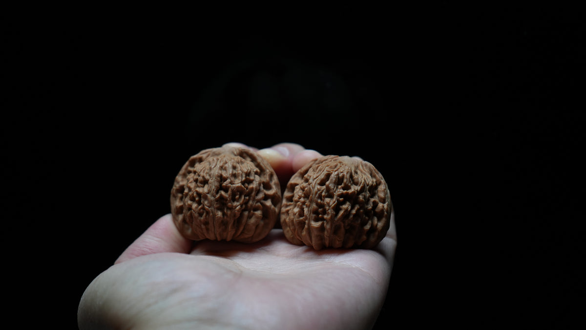 White Lion Wenwan Walnut Pair VIII