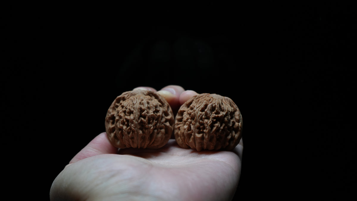 White Lion Wenwan Walnut Pair VIII