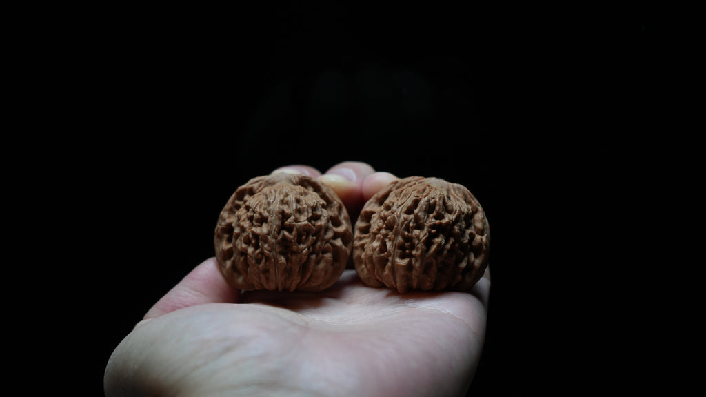 White Lion Wenwan Walnut Pair VIII