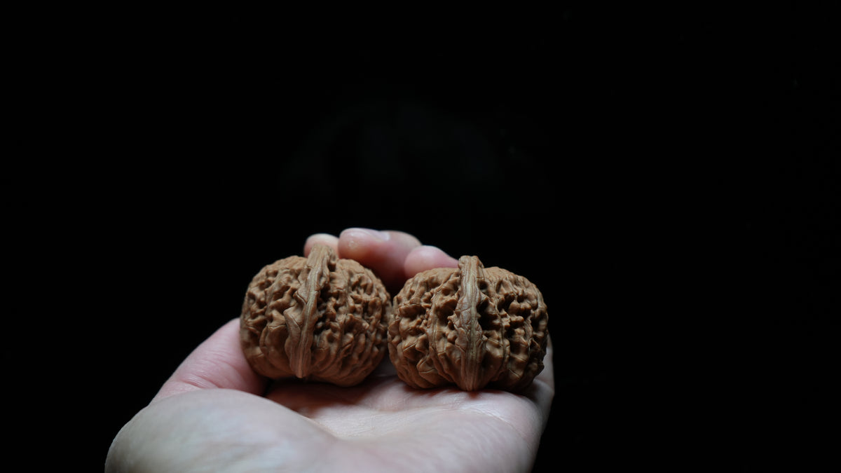 White Lion Wenwan Walnut Pair VIII