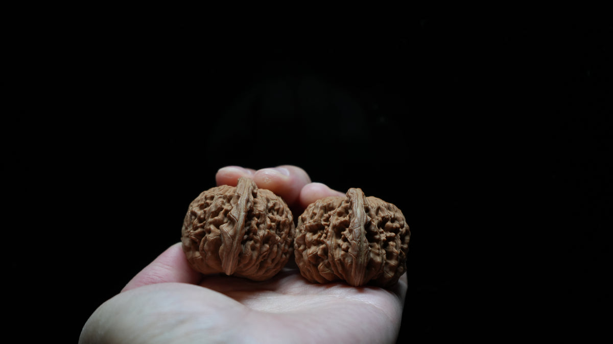 White Lion Wenwan Walnut Pair VIII