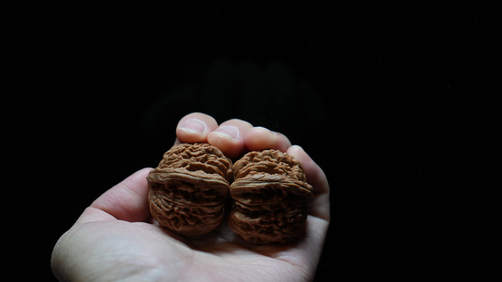 White Lion Wenwan Walnut Pair VIII