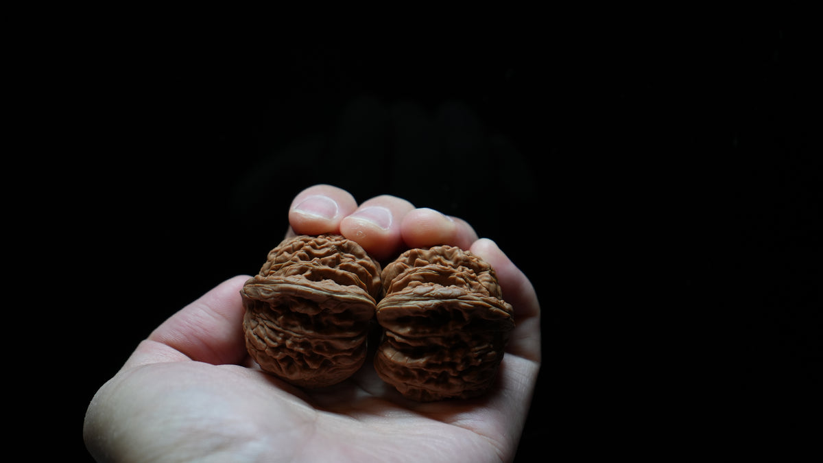 White Lion Wenwan Walnut Pair VIII