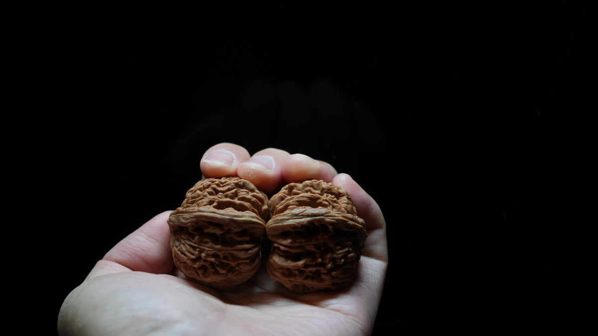 White Lion Wenwan Walnut Pair VIII