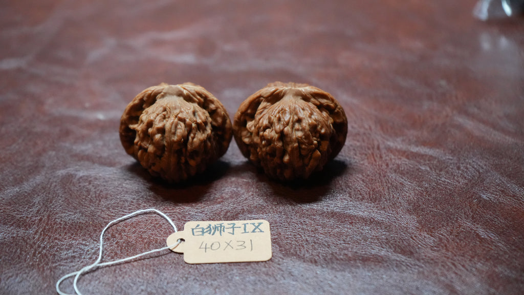 White Lion Wenwan Walnut Pair IX