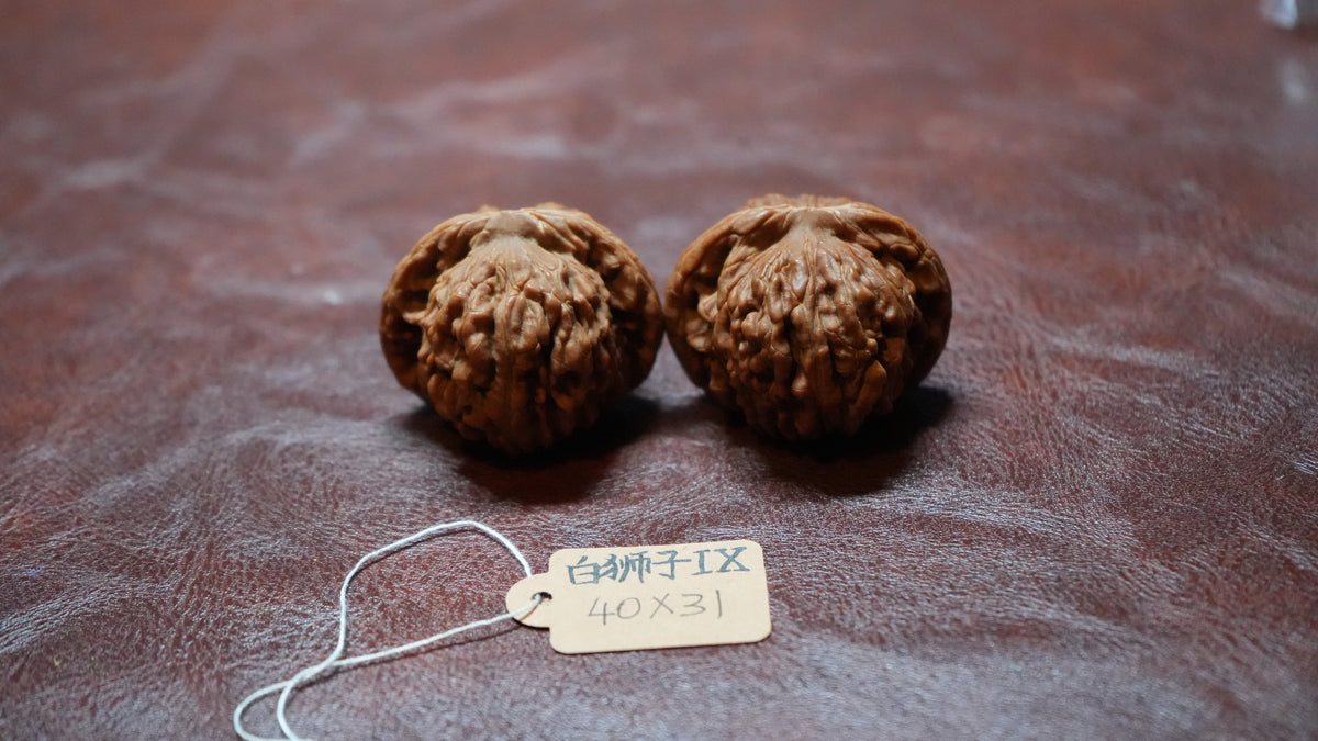 White Lion Wenwan Walnut Pair IX