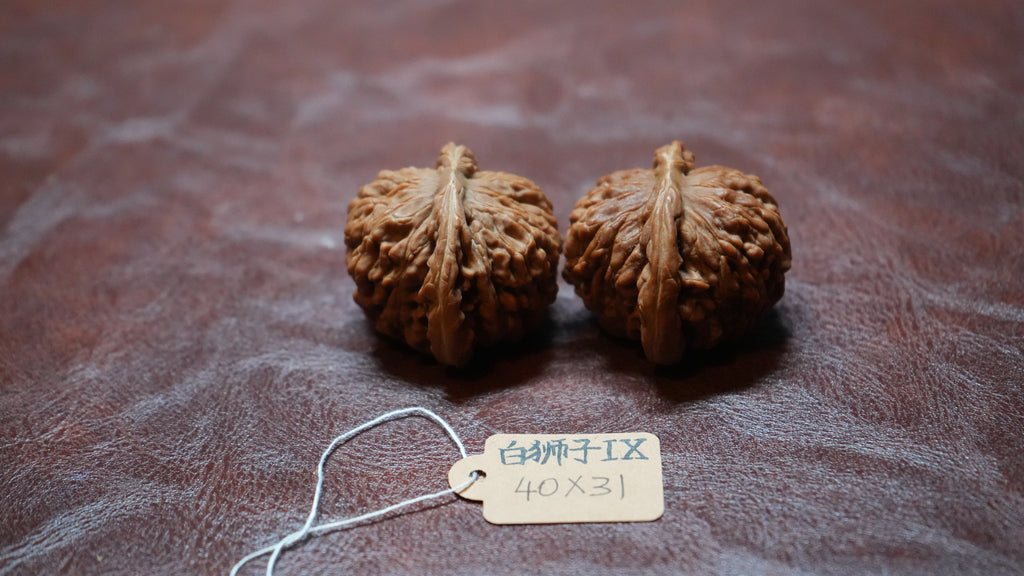 White Lion Wenwan Walnut Pair IX
