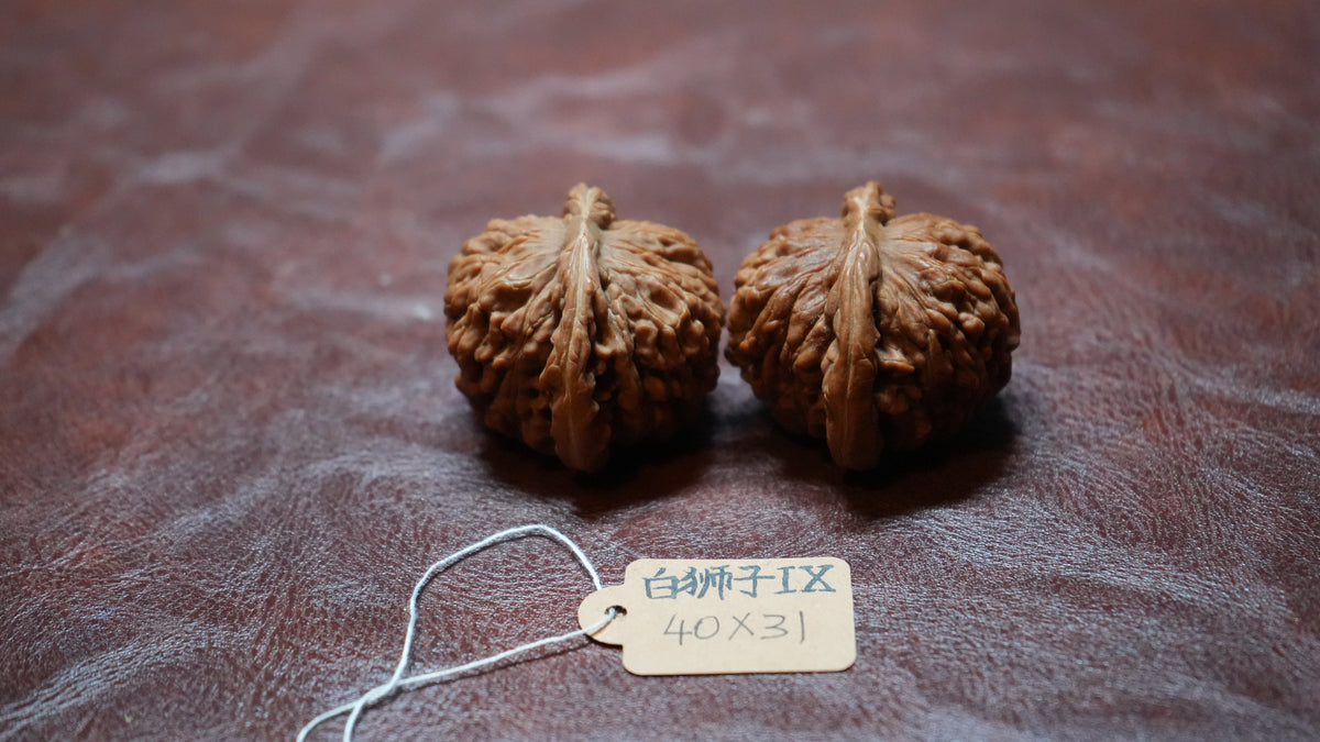 White Lion Wenwan Walnut Pair IX