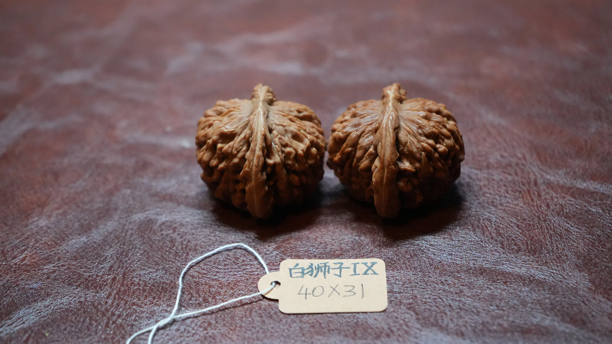 White Lion Wenwan Walnut Pair IX