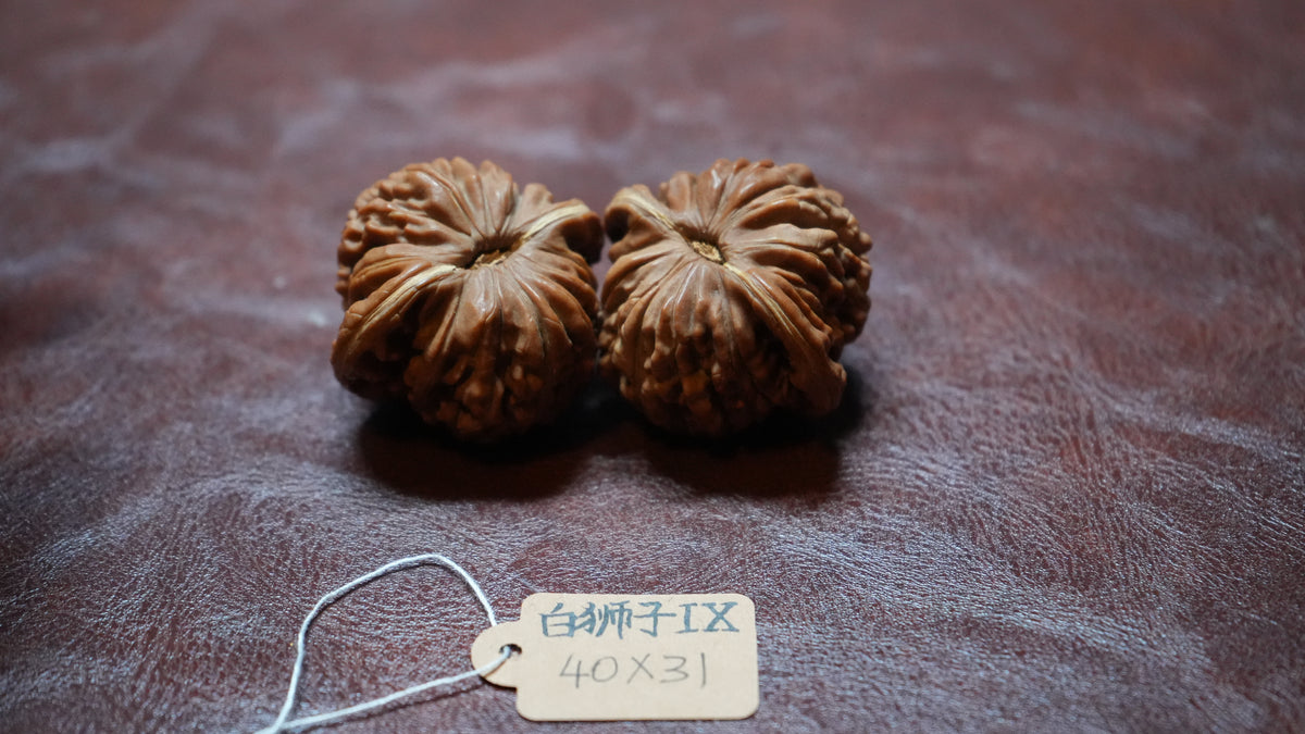 White Lion Wenwan Walnut Pair IX