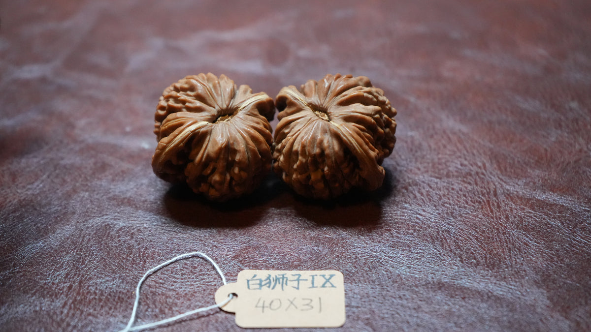 White Lion Wenwan Walnut Pair IX