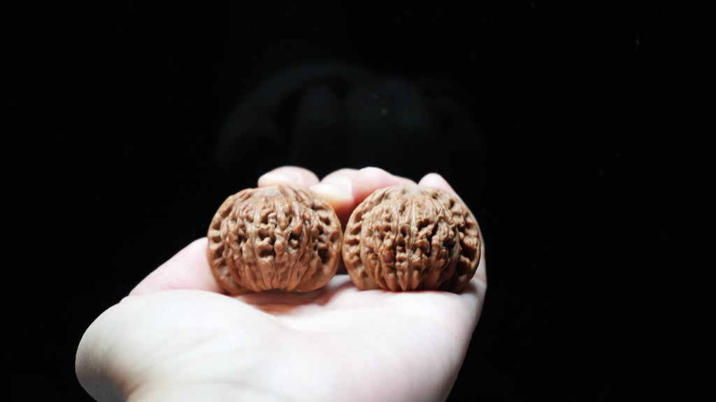 White Lion Wenwan Walnut Pair IX