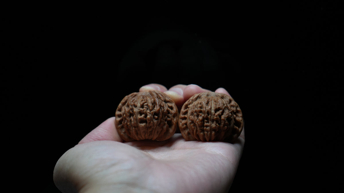 White Lion Wenwan Walnut Pair IX