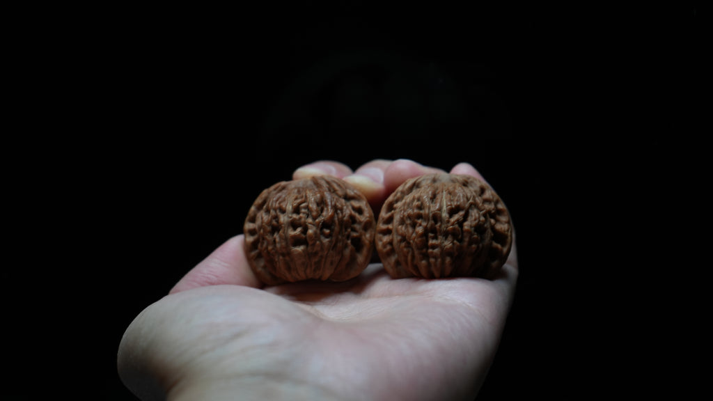 White Lion Wenwan Walnut Pair IX