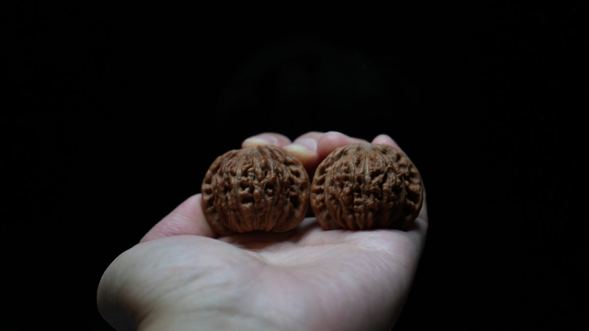 White Lion Wenwan Walnut Pair IX