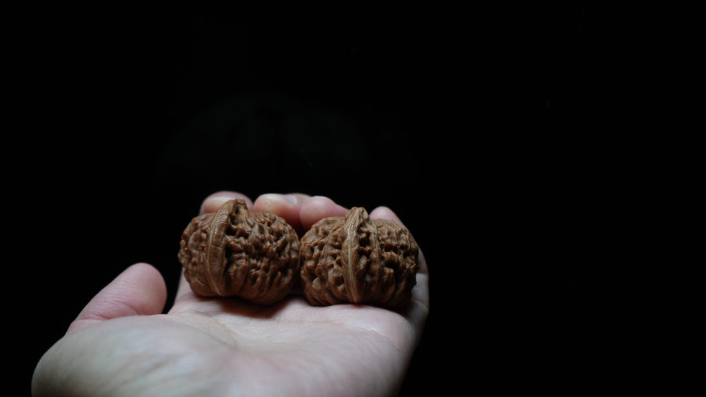 White Lion Wenwan Walnut Pair IX
