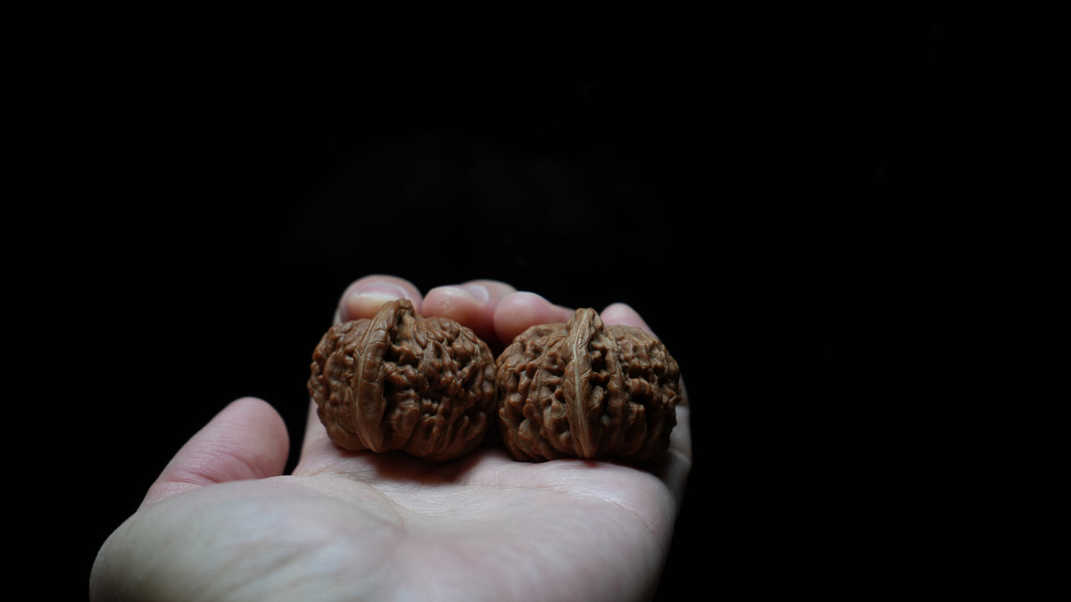 White Lion Wenwan Walnut Pair IX
