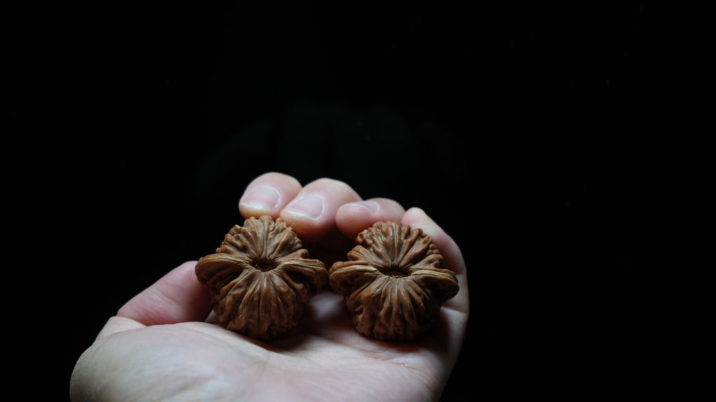 White Lion Wenwan Walnut Pair IX