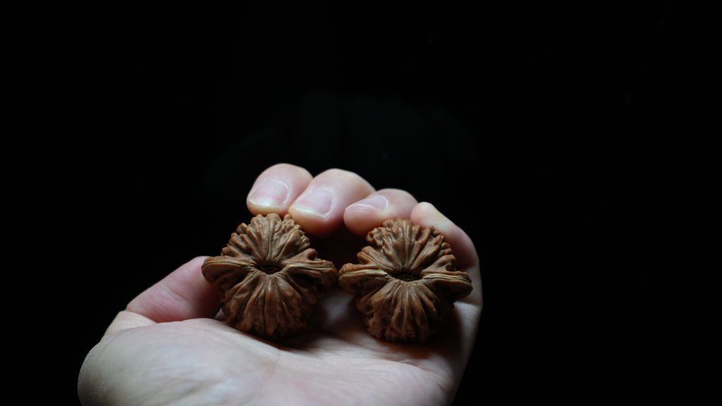 White Lion Wenwan Walnut Pair IX